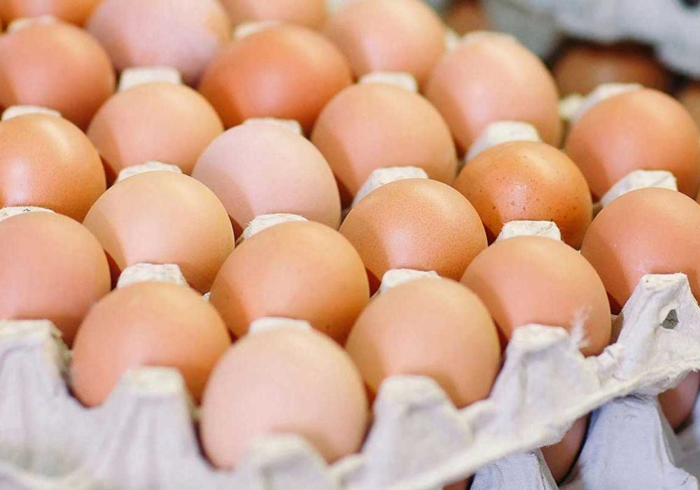 Eier auf Paletten im Eierkarton